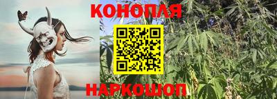 мет Кимры