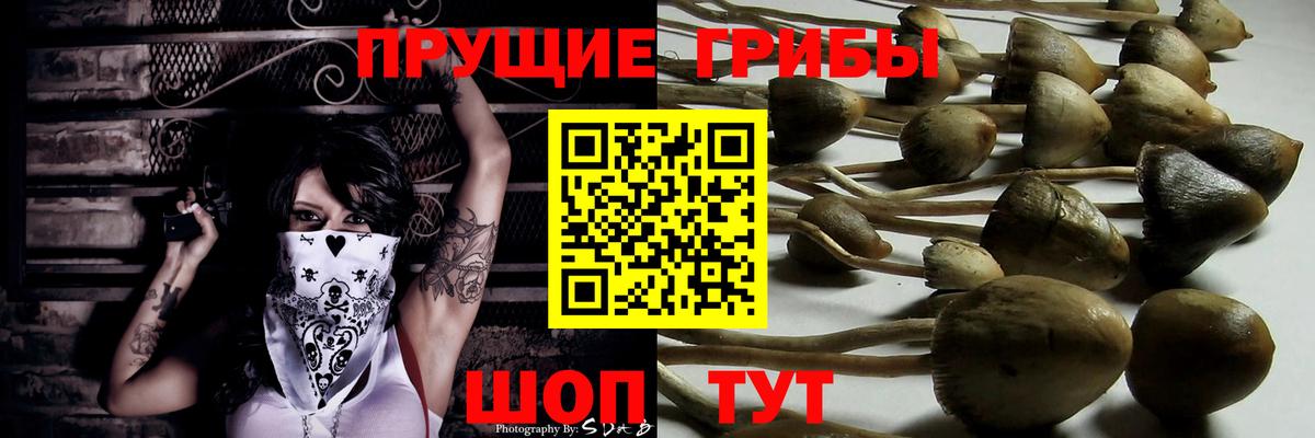 Клин  Псилоцибиновые грибы Cubensis  Вход с VPN 