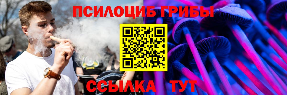 Псилоцибиновые грибы GOLDEN TEACHER Клин