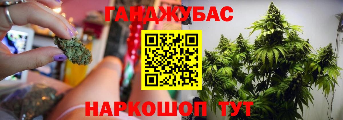 Конопля план Клин
